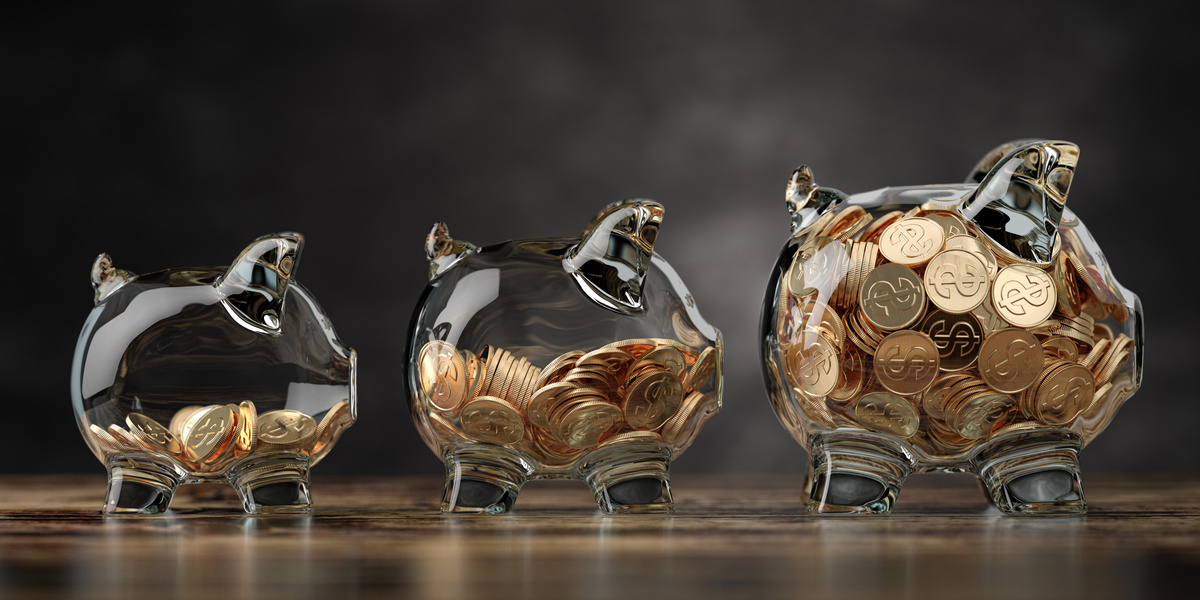 Image of a transparent piggy bank